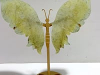 Unique Prehnite Butterfly Wing Carving With Stand