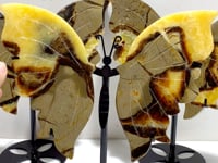 3 Pairs Septarium Butterfly Wing Carving With Stand #1