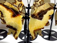 4 Pairs Septarian Butterfly Wing Carving With Stand #5