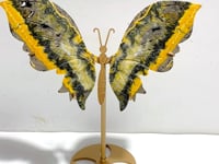 Beautiful Bumble Bee Stone Jasper Butterfly Wing Carving With Stand