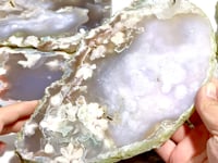 6 Pieces Large Green Sakura Flower Agate Slabs