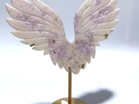 Beautiful Geode Druzy Agate Wing Carving With Stand