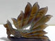Geode Agate Druzy Nine-tailed Fox Carving #13