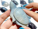 15 Pieces Trolleite Stone Sea Turtles Carving