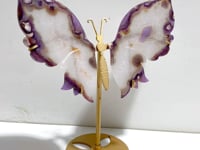 Beautiful Sakura Flower Agate Butterfly Wing Carving With Stand