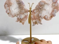 Geode Sakura Flower Agate Butterfly Wing Carving With Stand