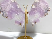 Beautiful Amethyst Mixed Geode Sakura Flower Agate Butterfly Wing With Stand