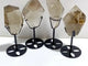 4 Pieces Golden Rutile Quartz Free Form With Stand