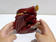 Unique Mookaite Flying Dragon Castle Carving #4