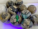 11 Pieces Volcano Agate Spheres Balls(UV-Reactive)