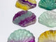 Rainbow Fluorite Shell Wholesale (No.21-40)