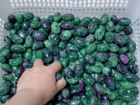 Ruby Zoisite Tumbled Wholesale