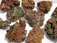10 Pieces Raw Garnet Specimen