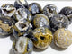 13 Pieces 8th Vein Ocean Jasper Spheres