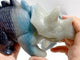 2 Pieces Trolleite Triceratops Three-horned Dinosaur Carving