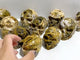 10 Pieces 6th Vein Ocean Jasper Skull Carving