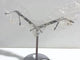 Clear Quartz Heart Wing Carving With Stand