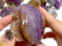 10 Pieces Amethyst Mixed Agate Turtle Carving