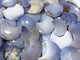 62 Pieces Blue Chalcedony Moon Carving (Sea Freight Only)