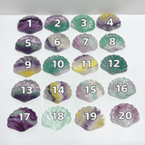 Rainbow Fluorite Shell Wholesale (No.1-20) -Wholesale Crystals