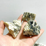 Rough Shape Polished 8th Vein Ocean Jasper Wholesale - Wholesale Crystals