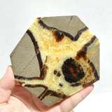 Septarian Slab Wholesale - Wholesale Crystals
