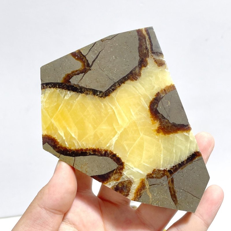 Septarian Slab Wholesale - Wholesale Crystals