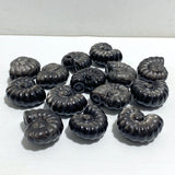 Silver Sheen Obsidian Conch Carving Wholesale -Wholesale Crystals