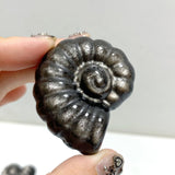 Silver Sheen Obsidian Conch Carving Wholesale -Wholesale Crystals