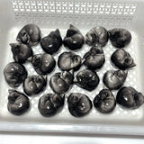 Silver Sheen Obsidian Sleeping Cat Carving Wholesale -Wholesale Crystals