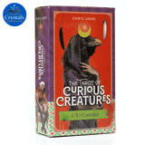 Tarot Cards 7 - Wholesale Crystals