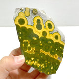 Unique 8th Vein Ocean Jasper Slab With Stand 3 - Wholesale Crystals