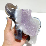 Unique Amethyst Mixed Geode Druzy Agate Elephant Animal Carving A16 - Wholesale Crystals