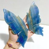 Unique Blue Onyx Butterfly Wing Carving With Stand -Wholesale Crystals