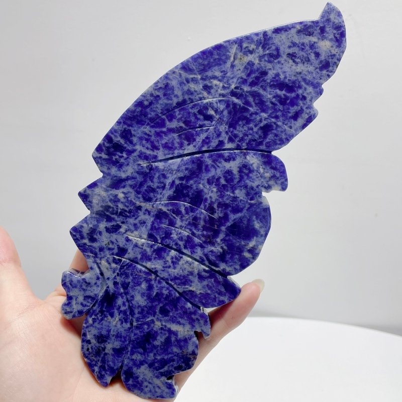 Unique Blue Sodalite Butterfly Wing Carving With Stand - Wholesale Crystals