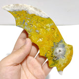 Unique Crazy Agate Flying Dragon Wing Carving With Stand - Wholesale Crystals