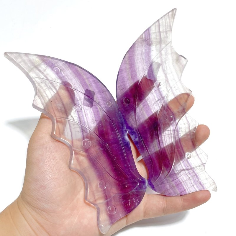 Unique Fluorite Flying Dragon Wing With Stand - Wholesale Crystals