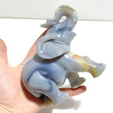 Unique Geode Agate Druzy Elephant Carving - Wholesale Crystals