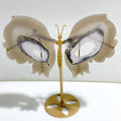 Unique Geode Druzy Agate Butterfly Wing Carving With Stand -Wholesale Crystals