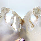 Unique Geode Sakura Flower Agate Butterfly Wing Carving With Stand - Wholesale Crystals