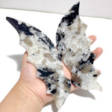 Unique India Moonstone Flying Dragon Wing Carving With Stand - Wholesale Crystals