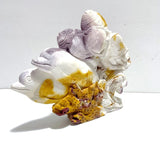 Unique Mookaite Sea Animals Carving - Wholesale Crystals
