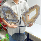 Very Large Beautiful Geode Druzy Sakura Flower Agate Butterfly Wing Carving With Stand 2 (Sea Freight Only) -Wholesale Crystals