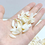 White Mother of Pearl Mop Shell Gravel Chips Wholesale -Wholesale Crystals