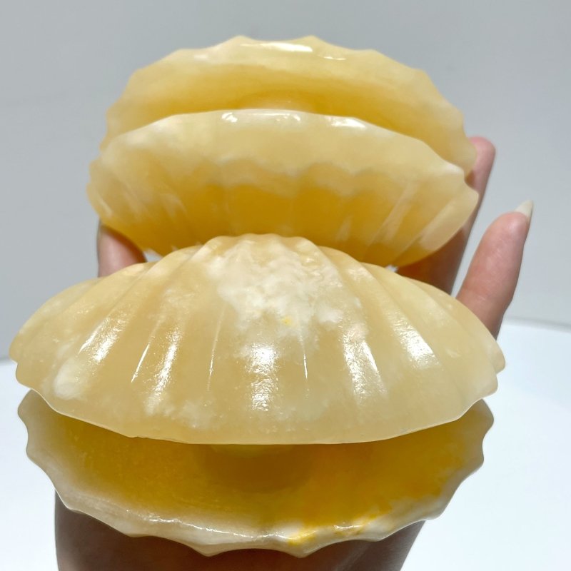 Yellow Calcite Shell Carving Wholesale - Wholesale Crystals