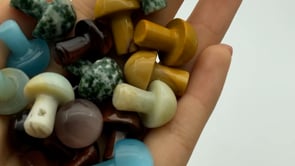 7 Types Mini mushroom Wholesale -Wholesale Crystals