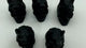 Obsidian Lion Skull Wholesale -Wholesale Crystals