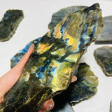 13 Pieces High Quality Labradorite Slab -Wholesale Crystals