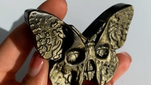 Gold Sheen Obsidian Butterfly Skull Carving Wholesale -Wholesale Crystals