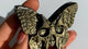 Gold Sheen Obsidian Butterfly Skull Carving Wholesale -Wholesale Crystals